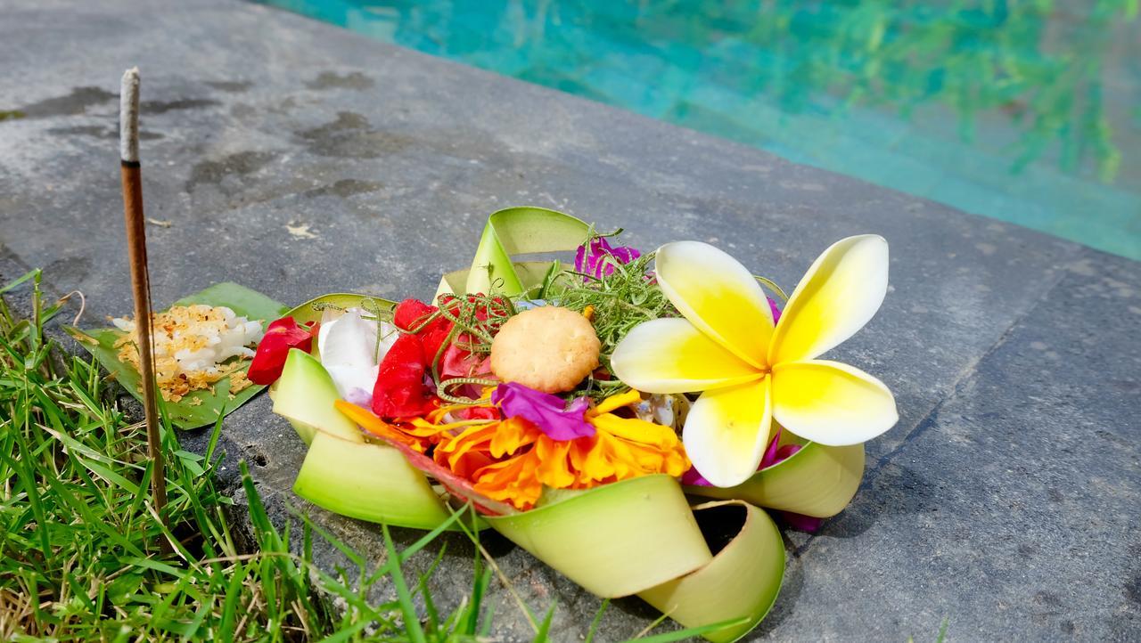 Wiki Bali Hotel Ubud  Exterior photo